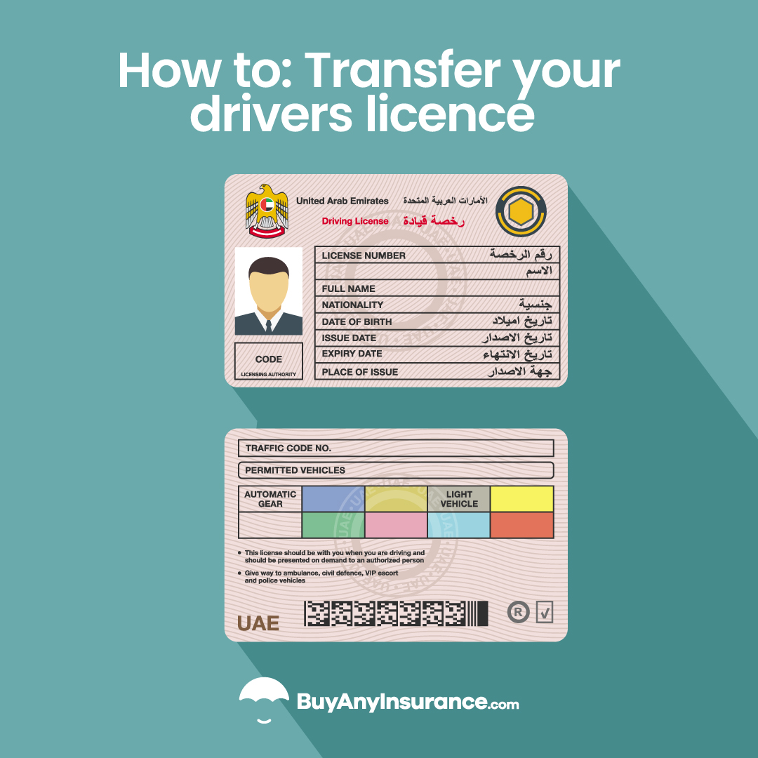 How to transfer your drivers licence