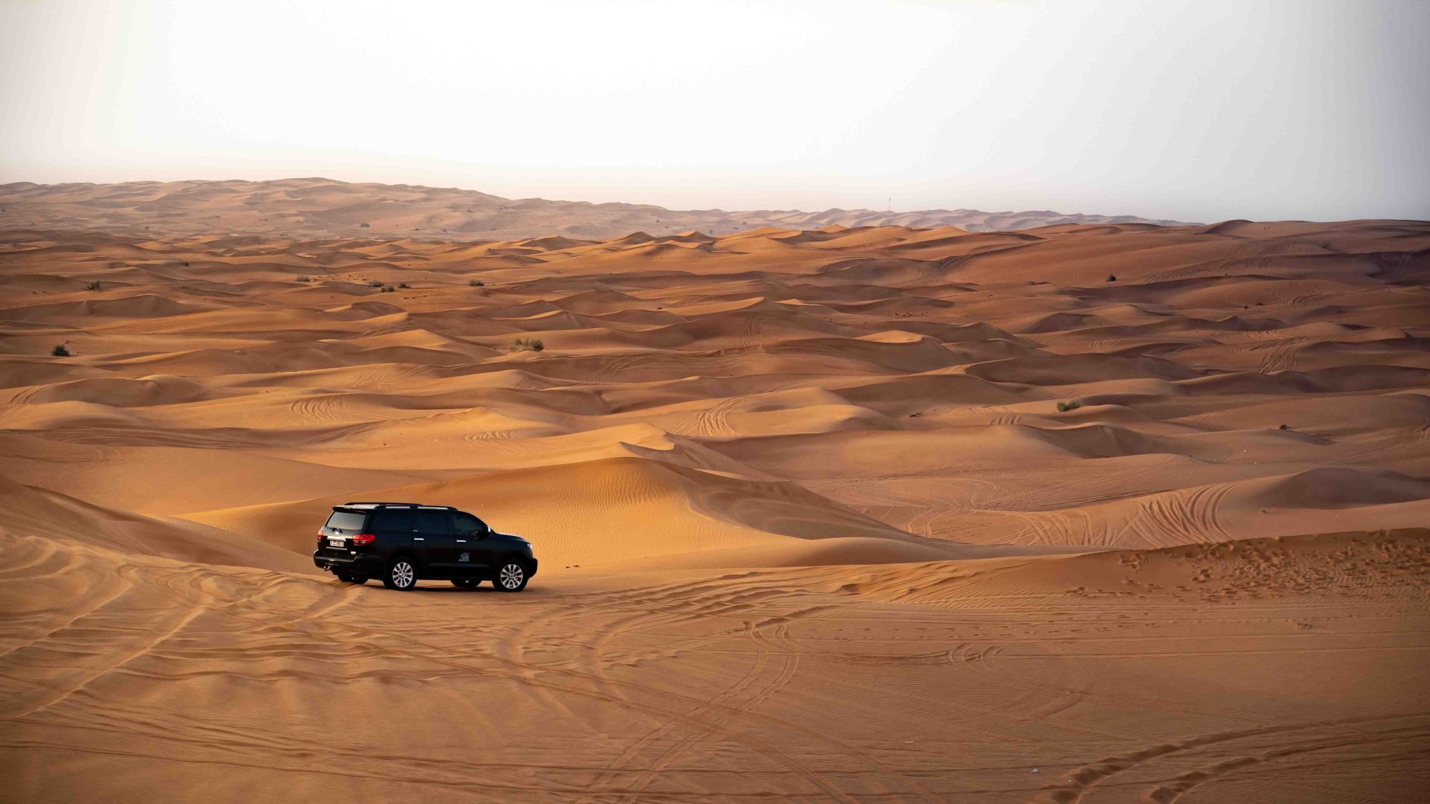 Register Your Car in Dubai