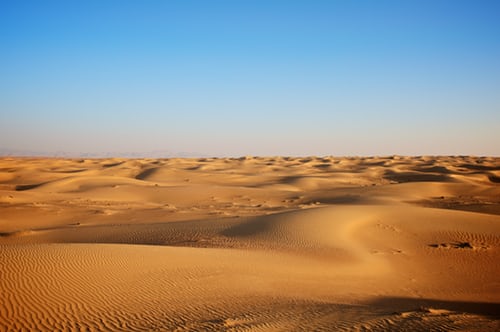 Traditional Celebrations on Desert Safari