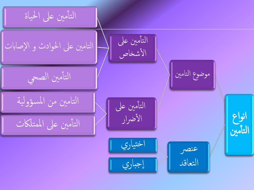 شركات تأمين السيارات وأنواع تأمين السيارات