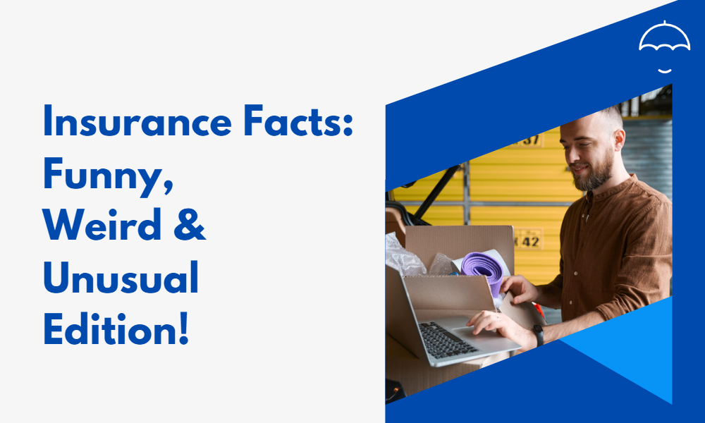 Funny, weird. and unusual insurance facts