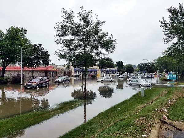 يغطي التأمين الشامل أضرار السيارة بسبب الأمطار والفيضانات