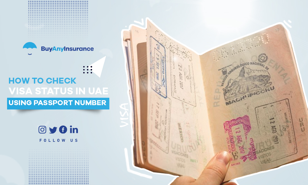 visit visa status with passport number