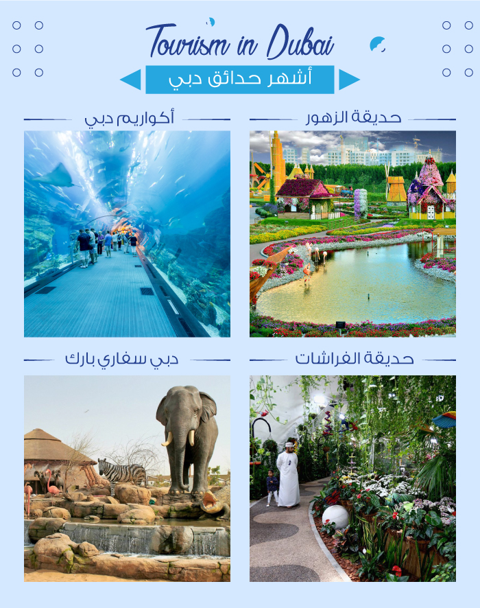 السياجة في دبي وأشهر الحدائق