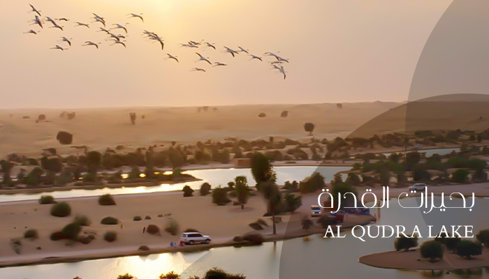 بحيرات القدرة في الإمارات