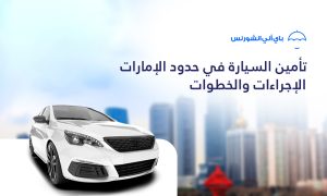 تامين السيارة في حدود الامارات