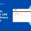 How To Check UAE Visa Status Online With Passport Number