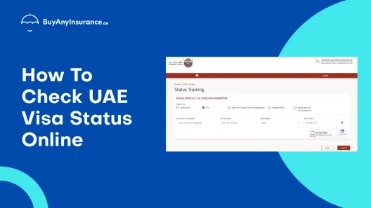 How To Check UAE Visa Status Online With Passport Number