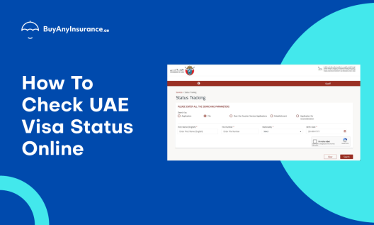 How To Check UAE Visa Status Online With Passport Number