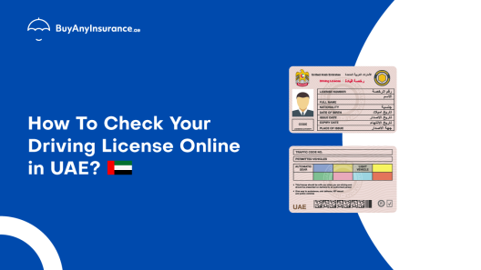 Check My Driving License in UAE