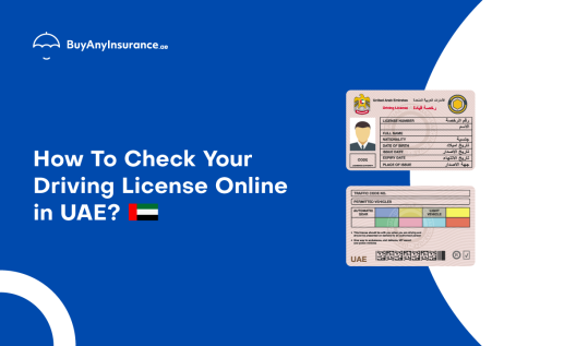 Check My Driving License in UAE