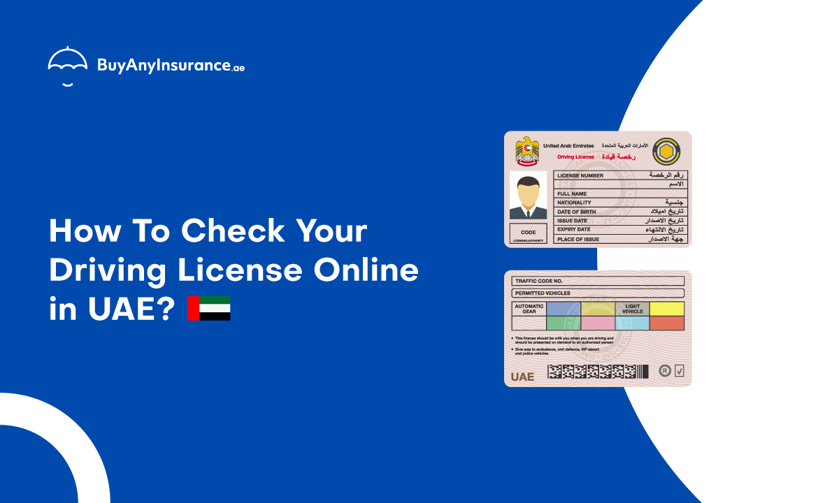 Check My Driving License in UAE