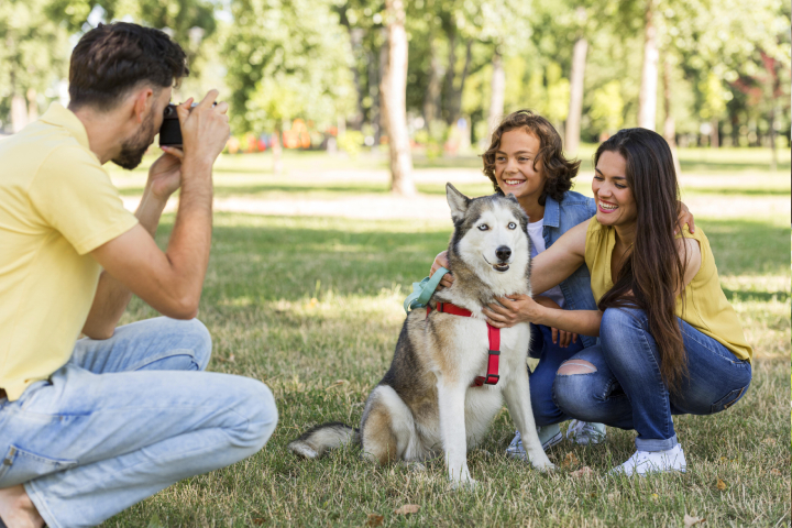Pet insurance dubai