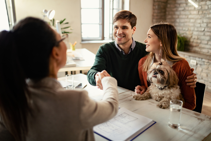 pet insurance uae